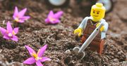Klocek Lego wart fortunę. Przypadkiem trafił do sklepu ze starociami