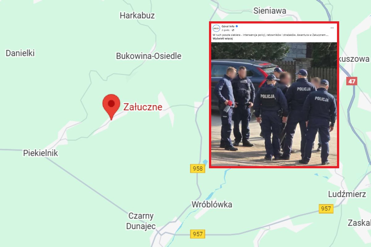 Sceny w Załucznem. Przyjechali energetycy, w ruch poszła siekiera