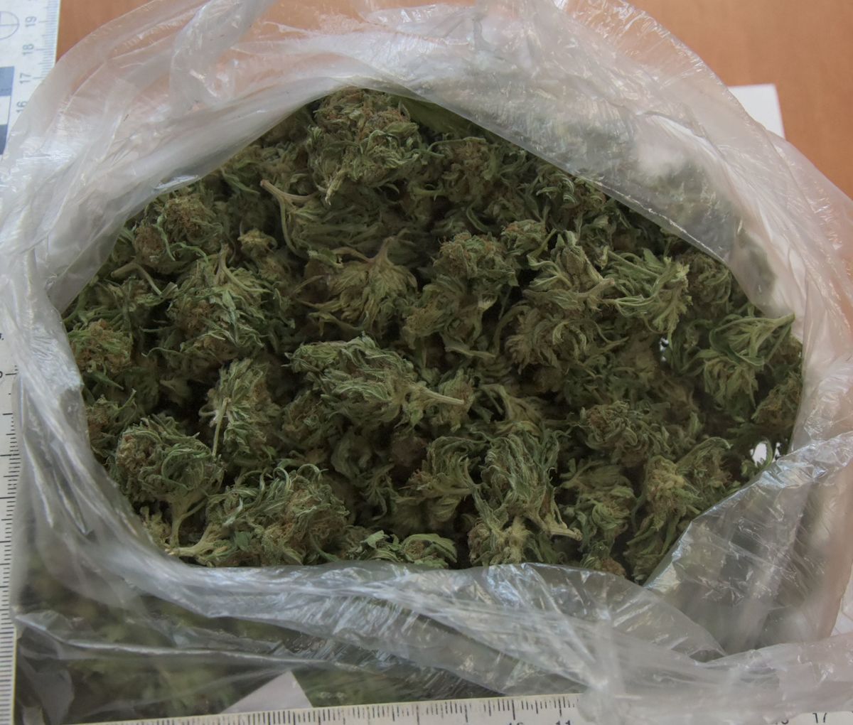 Kurów: Posiadał blisko kilogram narkotyków. Trafił do tymczasowego aresztu