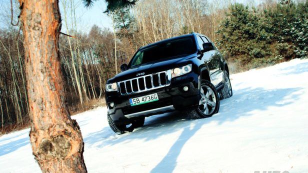 Zdjęcie ilustracyjne do artykułu