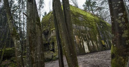 Sześć szkieletów w domu Göringa. Ruszyły nowe badania w Wilczym Szańcu