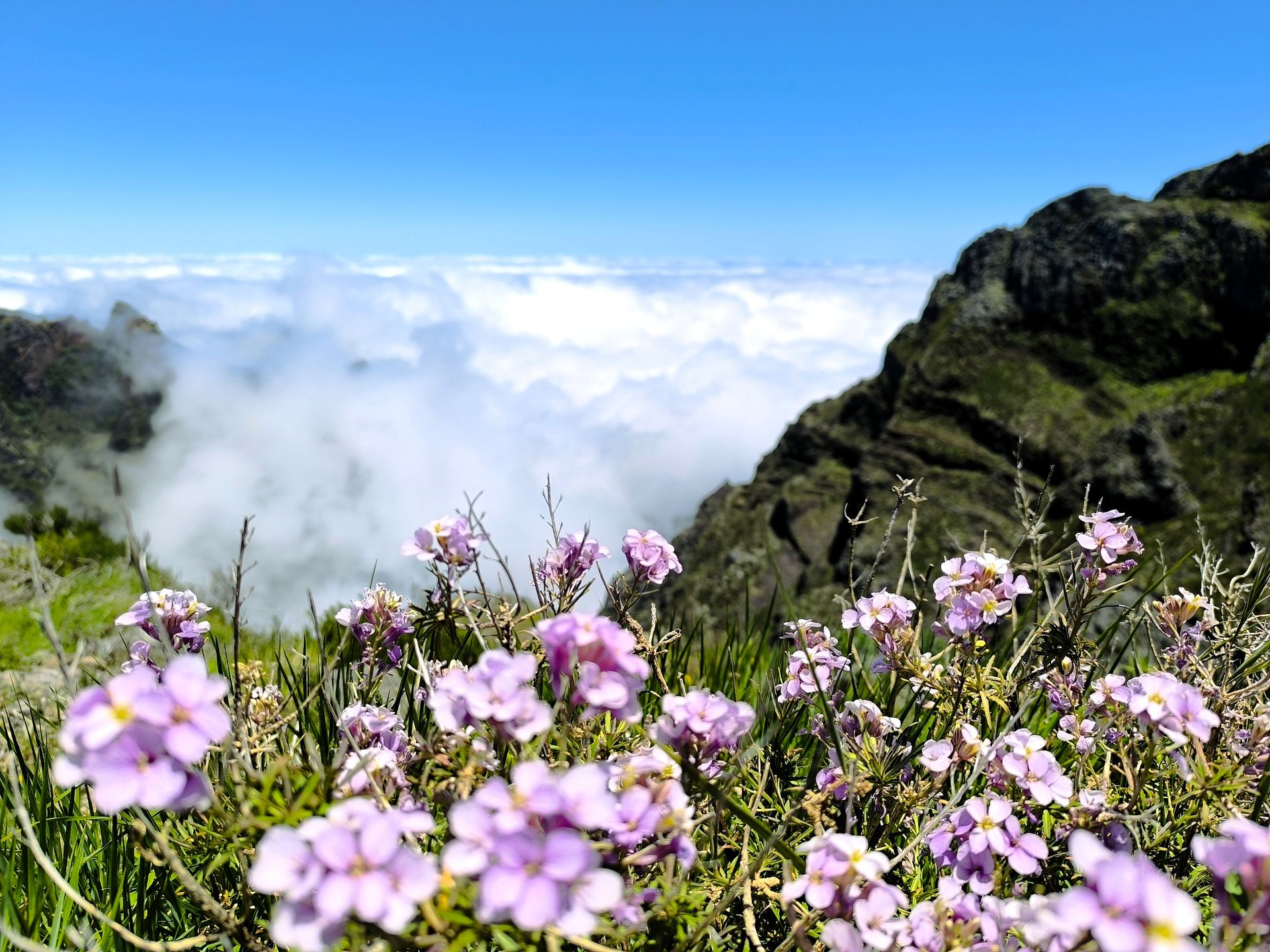 Madera: Szlak na Pico do Arieiro