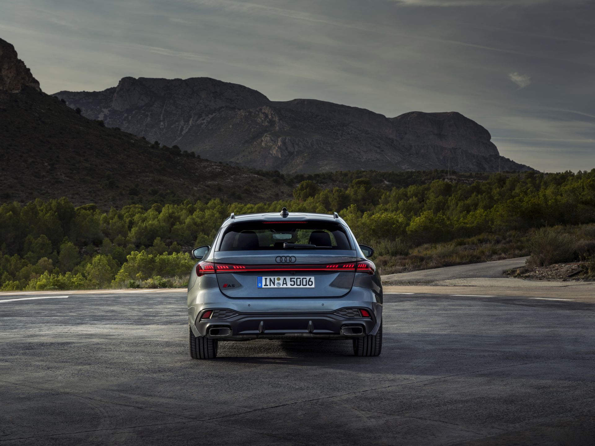 Audi A5 Avant
TSP