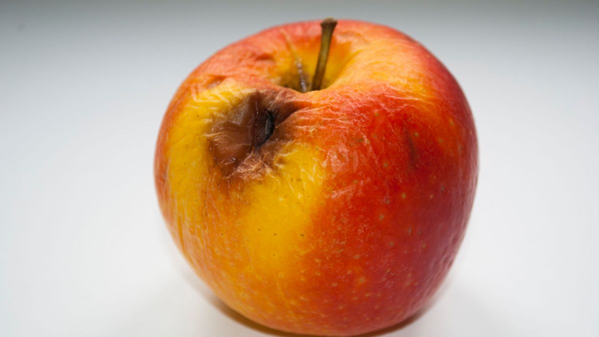 Apple iOS 13.1.2 znów z błędami (fot. 123RF)