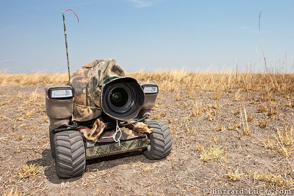 BeetleCam – fotograficzny robot w Afryce 1