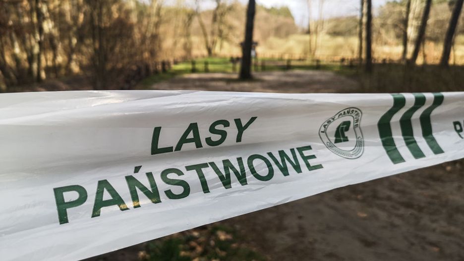 Od 1 do 20 kwietnia w polskich lasach doszło do 2 tys. pożarów.
