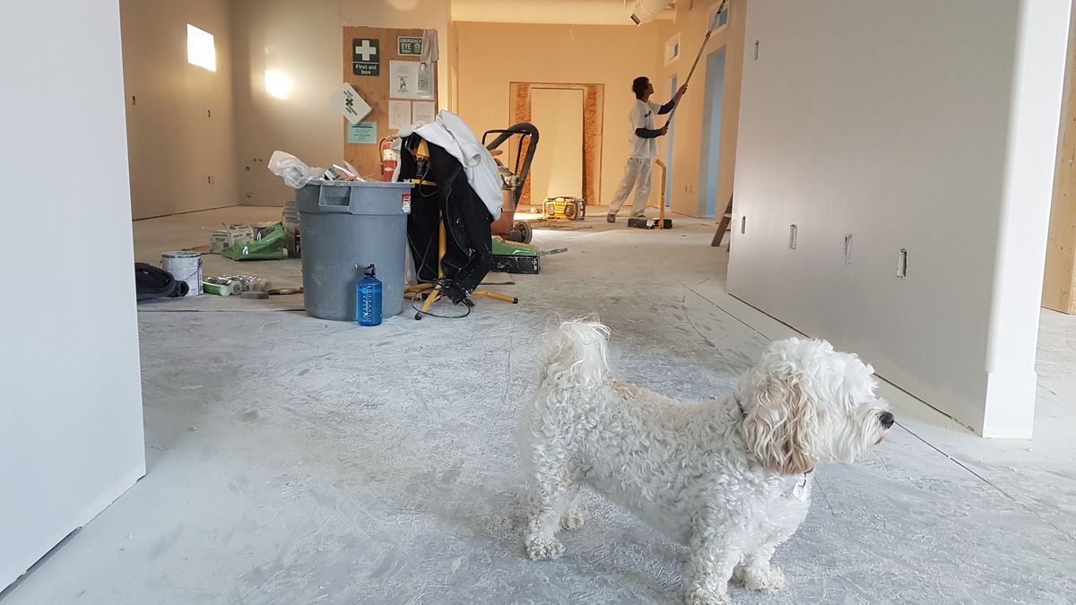 Ustawa o domach do 70 m kw. przeszła przez Sejm, teraz zajmie się nią Senat a następnie prezydent 