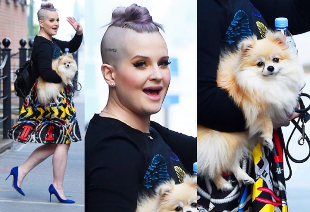 Kelly Osbourne z fioletowymi włosami i psem na rękach (ZDJĘCIA)