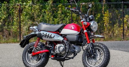 Motocykl dnia: Honda Monkey