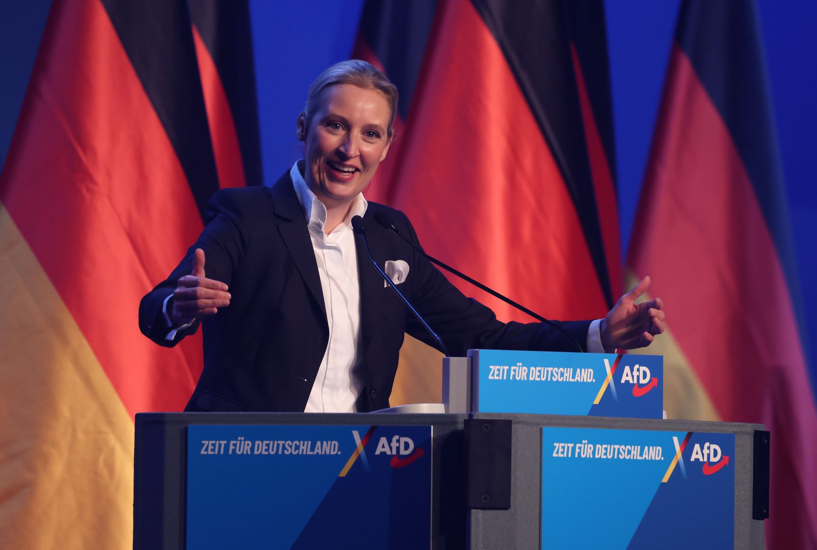 Współprzewodnicząca AfD Alice Weidel