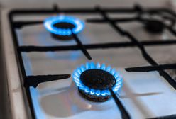 Maksymalna cena gazu. Rząd wciąż pracuje nad projektem ustawy