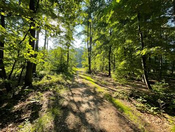 Prognoza pogody na początek tygodnia. Co z temperaturami?