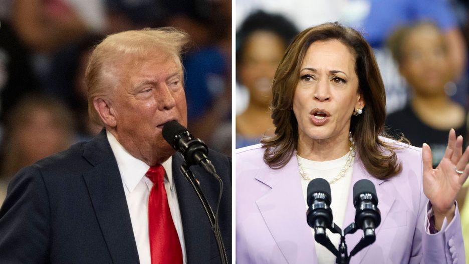 Kamala Harris wyprzedziła Donalda Trumpa w sondażu dotyczącym zaufania gospodarczego