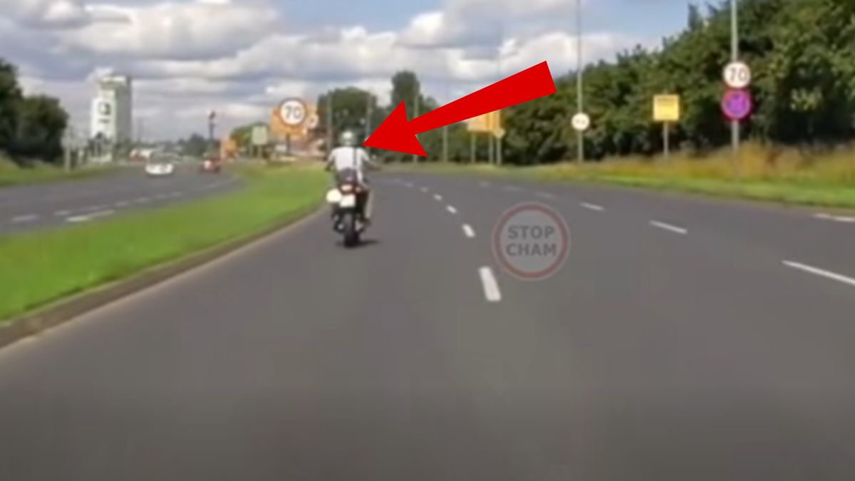Bulwersujące sceny w Poznaniu.