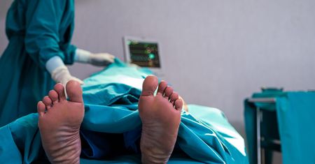 Najniebezpieczniejsze zwierzę świata. Zabija nawet milion ludzi rocznie