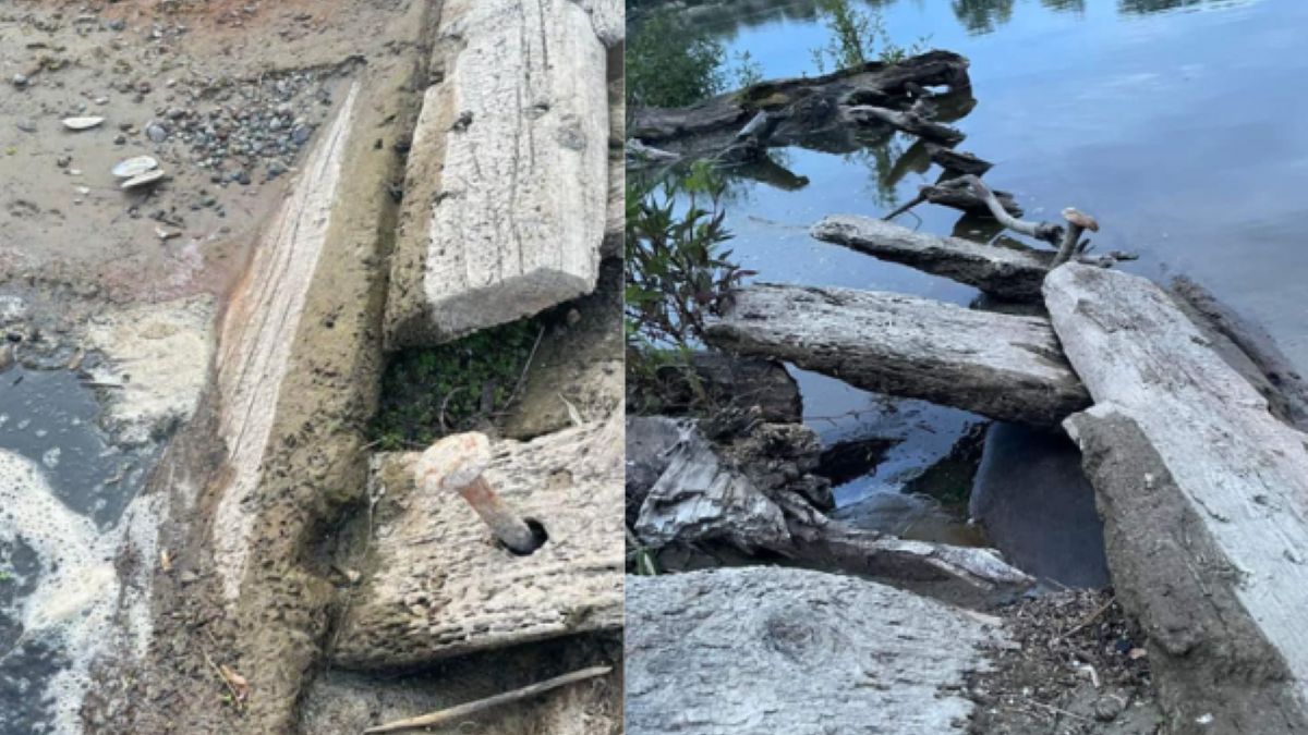 Niezwykłe odkrycie. Pamięta co najmniej potop szwedzki