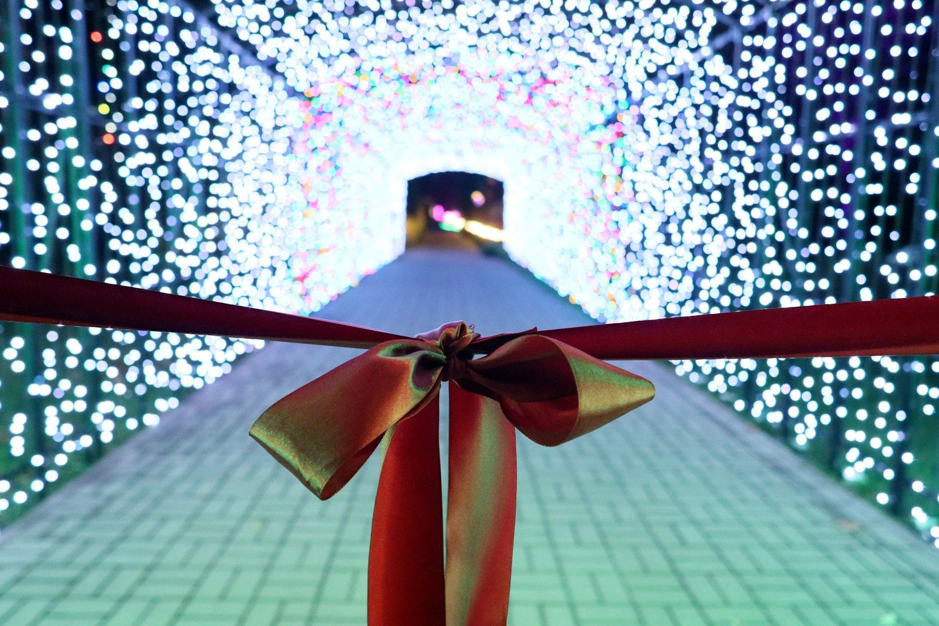 Magicznie i kolorowo, czyli Alicja w Ogrodzie Czarów. Mamy zdjęcia z otwarcia Lumina Parku.