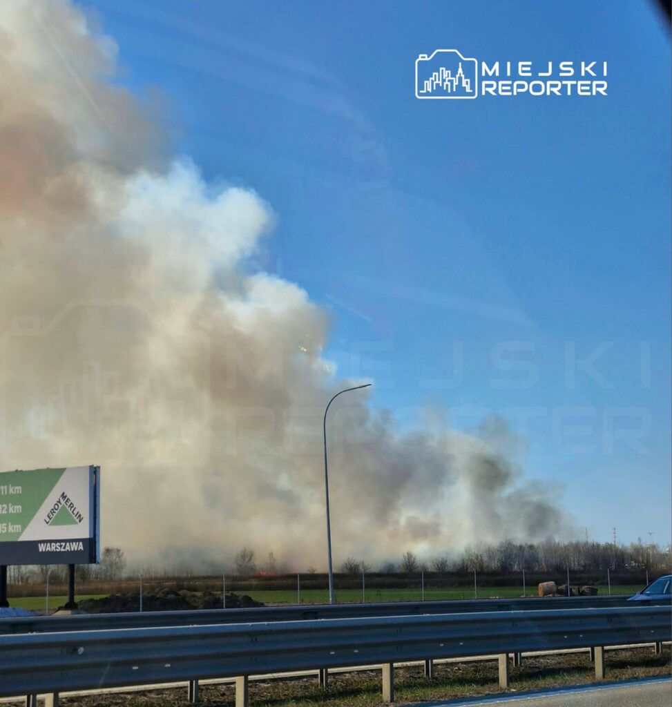Gęsty dym unosi się nad polem w pobliżu drogi, w tle widoczne drzewa i znaki drogowe.