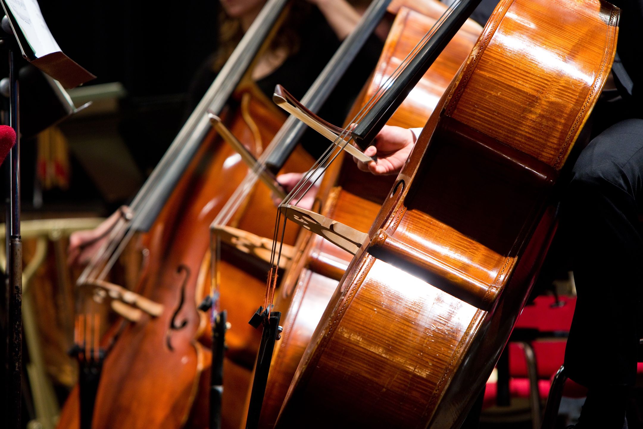 kontrabass, streichinstrument, saiten, musik, instrument, musiker, klassisch, jazz, philharmonie, orchester, bühne, auftritt, konzert, bogen, streichen, mensur, sinfonieorchester, schalllöcher, f-löcher, melodie, klang, ton, fünfsaiter, saite, transponierend, gambe, kontrabassist, oberzarge, arcospiel, cello, pizzicatospiel, klassik, virtuos, musikschule, musikunterricht, instrumentenkunde, violoncello, bratsche, klangkörper, bass, zupfen, holz, griffbrett