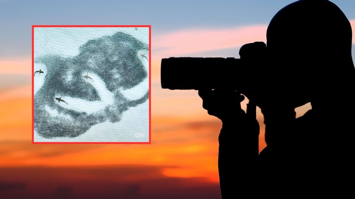 Niesamowite zdjęcie fotografki z Niemiec