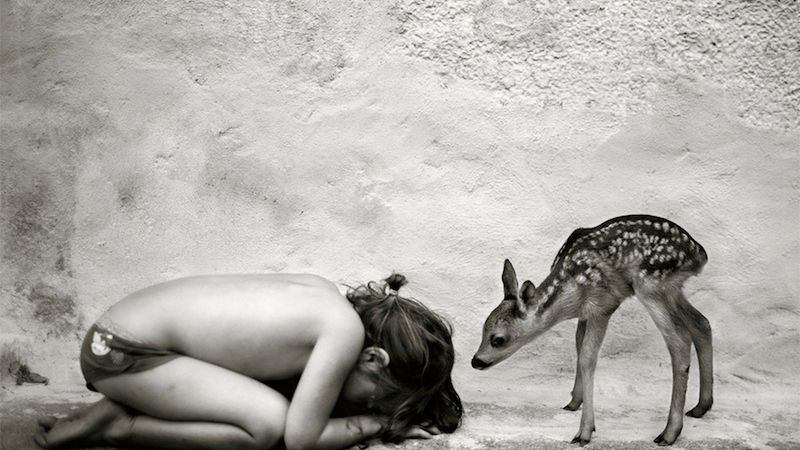 La Famille - osobiste zdjęcia wielodzietnej rodziny 1