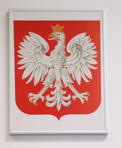 Mianował się Najwyższą Izbą Kontroli. Następnie znieważył godło