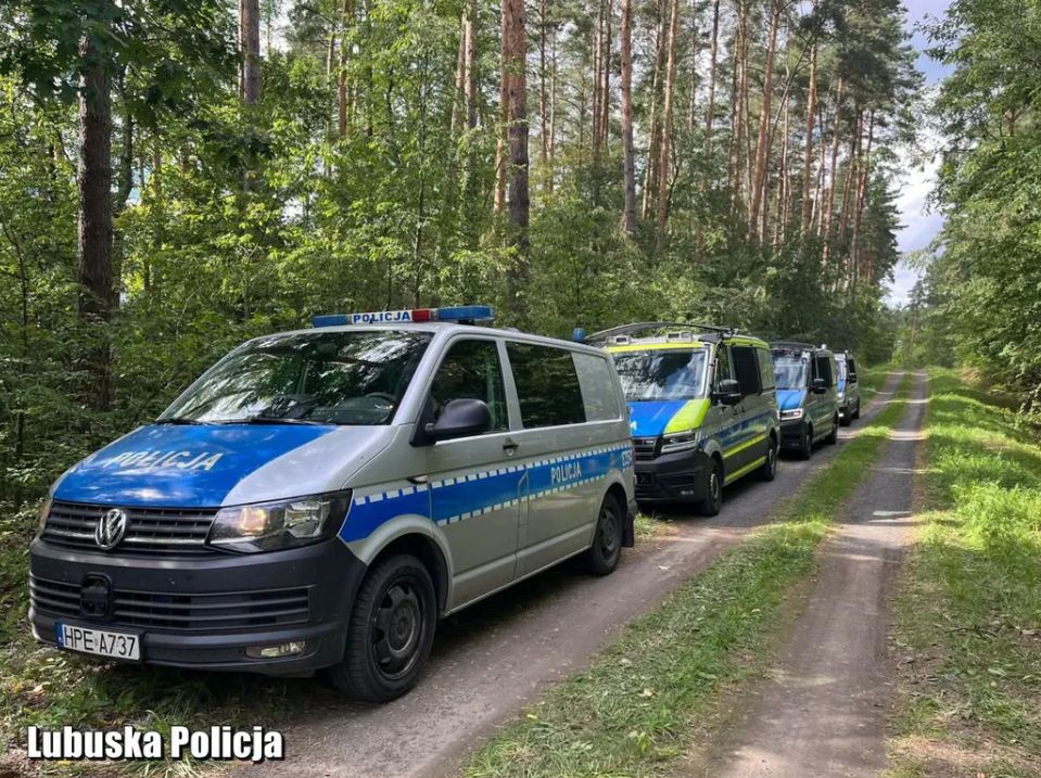 Poszukiwania Witolda Płóciennika 