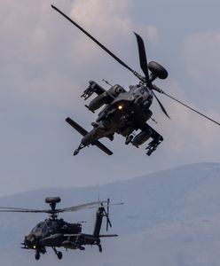 Nowe wyzwania dla Sojuszu. Dobre wiadomości dla Polski