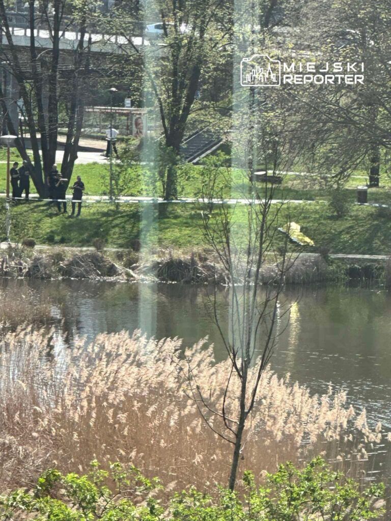 Fot. Czytelniczka Miejskiego Reportera