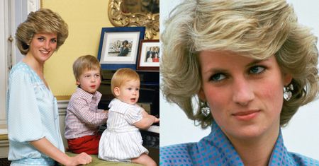 Księżna Diana miała NIEŚLUBNĄ CÓRKĘ? Internauci wierzą, że William i Harry nie są jej jedynymi dziećmi. Oto ich DOWODY
