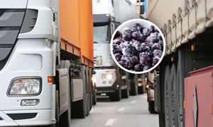 Zatrzymali transport z Ukrainy. Oto co miało trafić do Polski