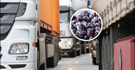 Zatrzymali transport z Ukrainy. Oto co miało trafić do Polski