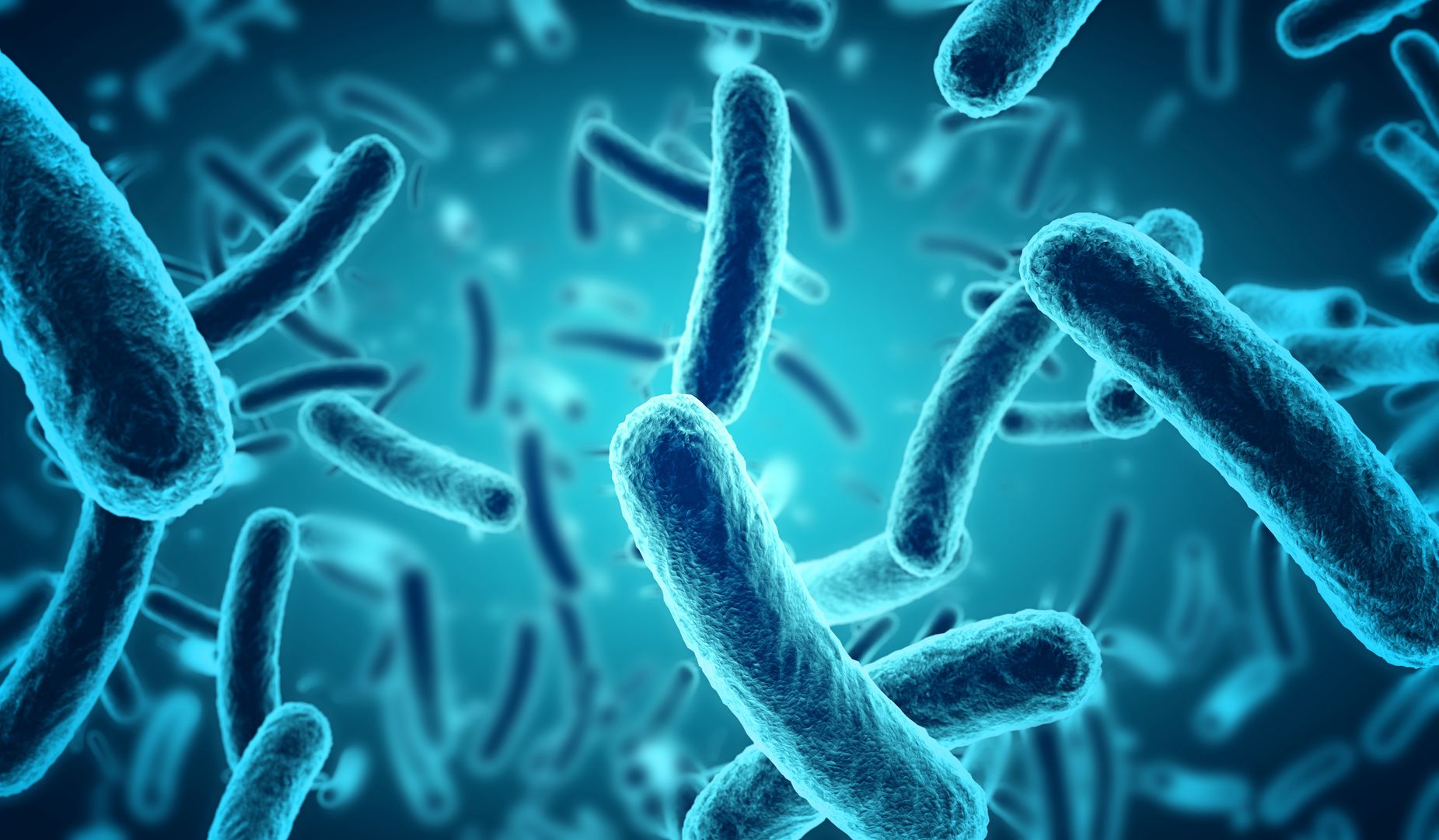 Pasteryzowana Akkermansia muciniphila. Postbiotyk, który zrewolucjonizował probiotykoterapię