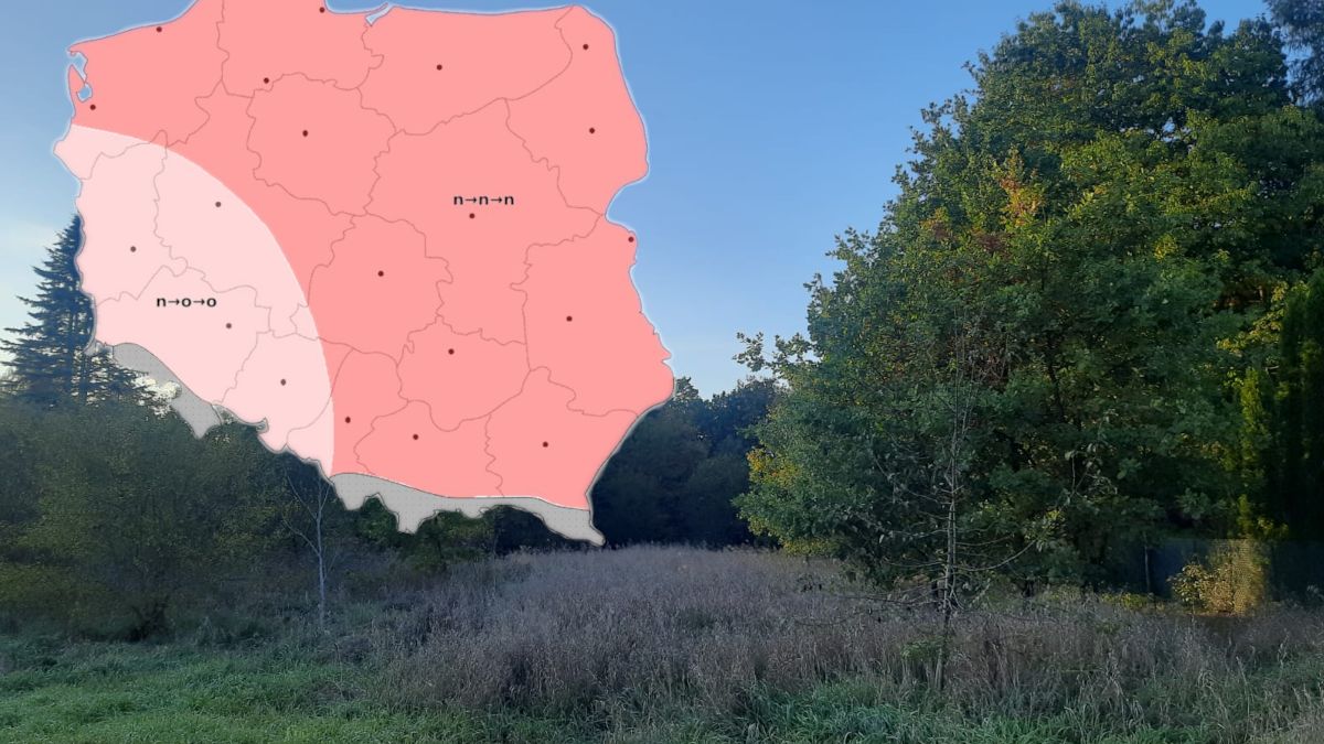 Prognoza na 14.10.2024.