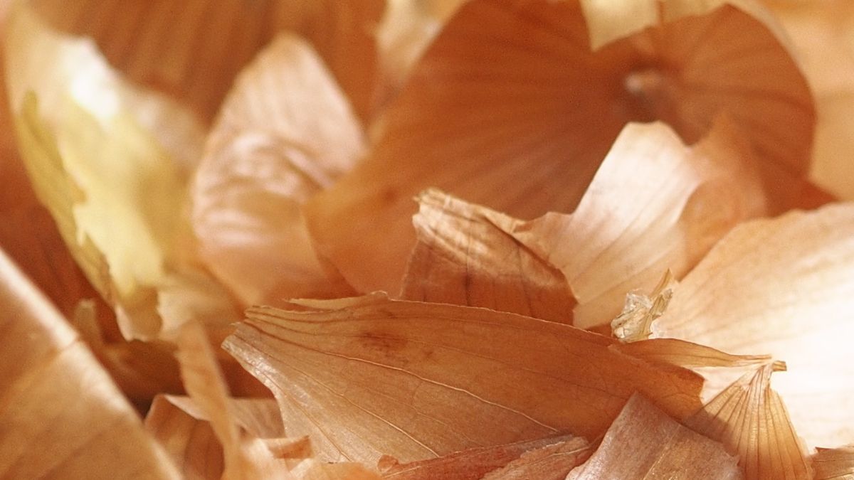 Dlaczego nie powinno się wyrzucać łupin cebuli? 