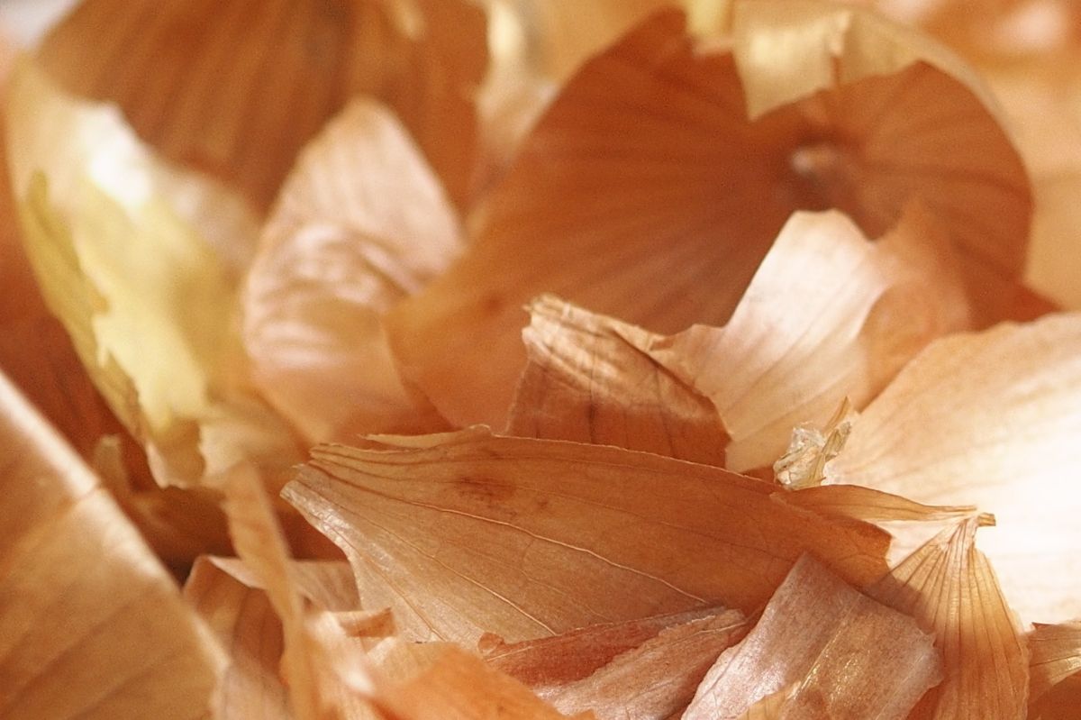 Why should you not throw away onion skins?