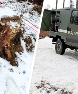 Leśnicy zaalarmowali służby. Niebezpieczne znalezisko pod Tarnowem