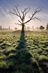 Flickr: subiektywny przegląd zdjęć tygodnia 12 3