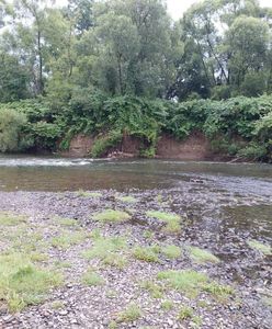 21-latek utonął w rzece Skawie. Nagle zniknął pod powierzchnią