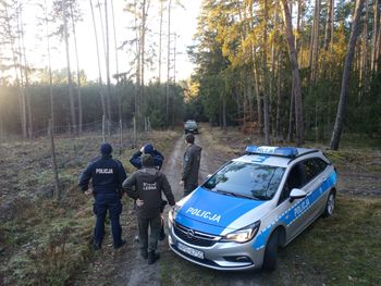 Od jutra zacznie się w polskich lasach. "Akcja ma na celu ochronę zwierzyny"