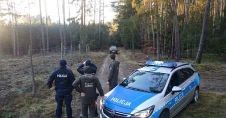 Od jutra zacznie się w polskich lasach. "Akcja ma na celu ochronę zwierzyny"