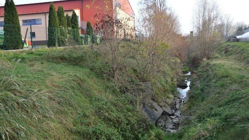 Rów odprowadzający wodę z Nowego Brzeska do Wisly