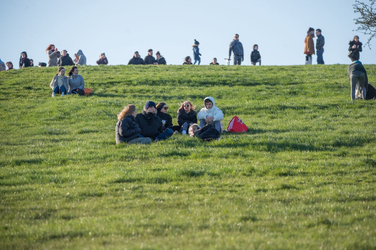 Koła na trawie. Władze San Francisco wprowadziły genialne rozwiązanie w parku
