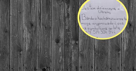"Jestem dziewczyną z Ukrainy". Ogłoszenie z Łodzi podbija Twittera