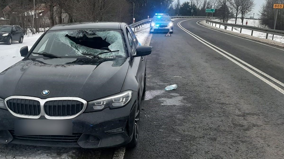 Zdjęcie ilustracyjne