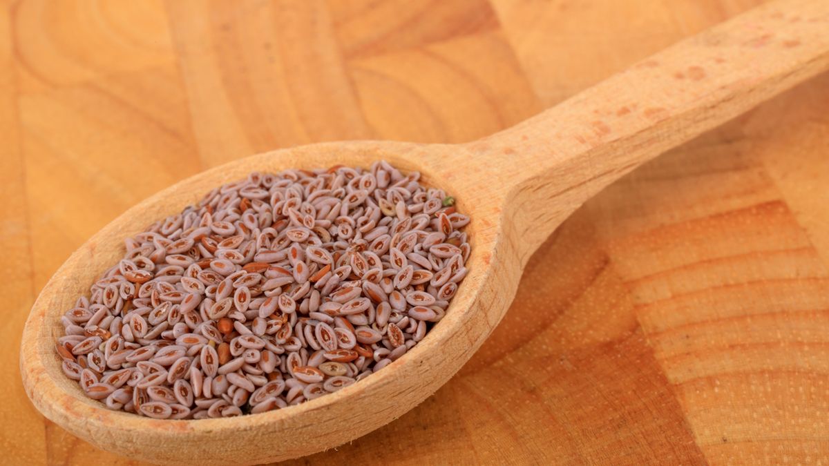 Babka jajowata to cenny surowiec z dużą zawartością błonnika