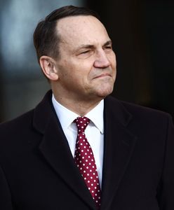 "Dogoniłem faworyta". Sikorski reaguje po sondażu WP