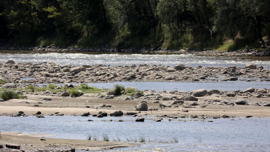 Niski stan wody w Wiœle