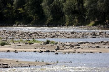 Podkarpacie: Krytyczne spadki poziomu wód. IMGW wydał sześć ostrzeżeń