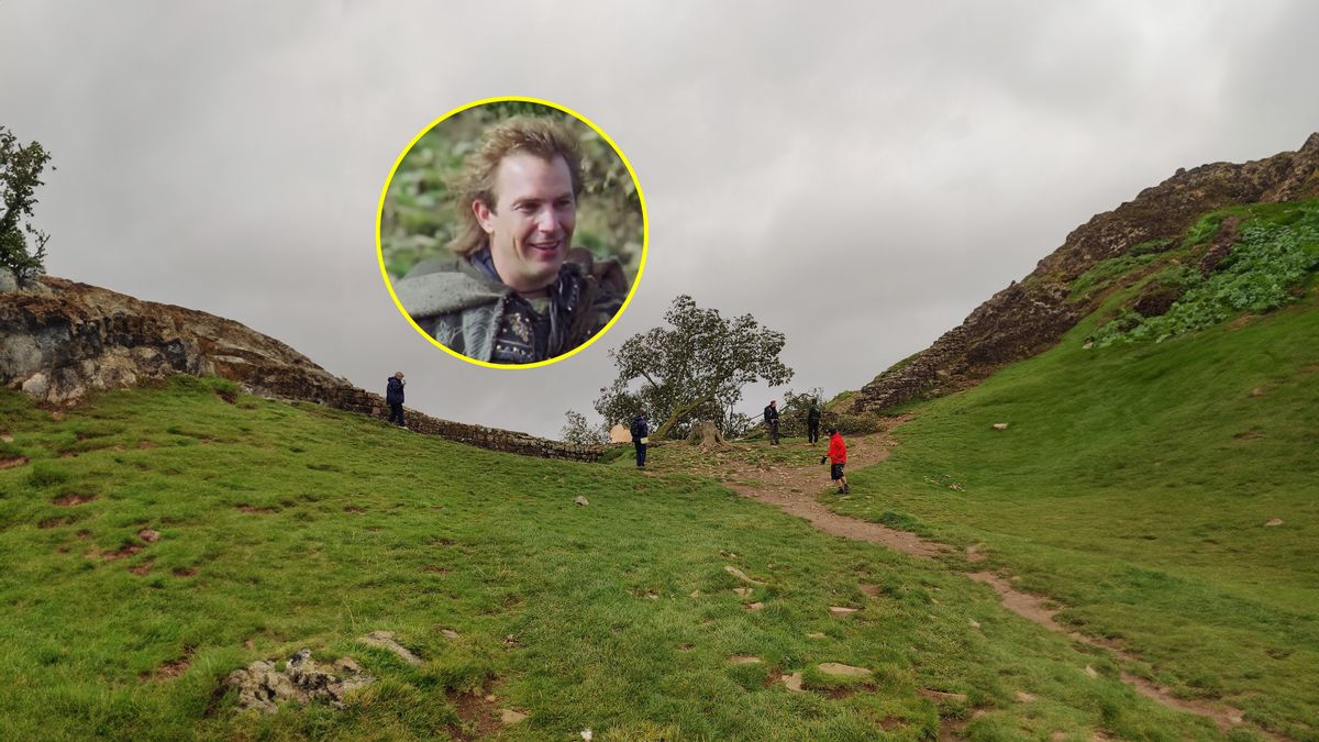 "Drzewo Robina Hooda" zostało ścięte przez wandali.